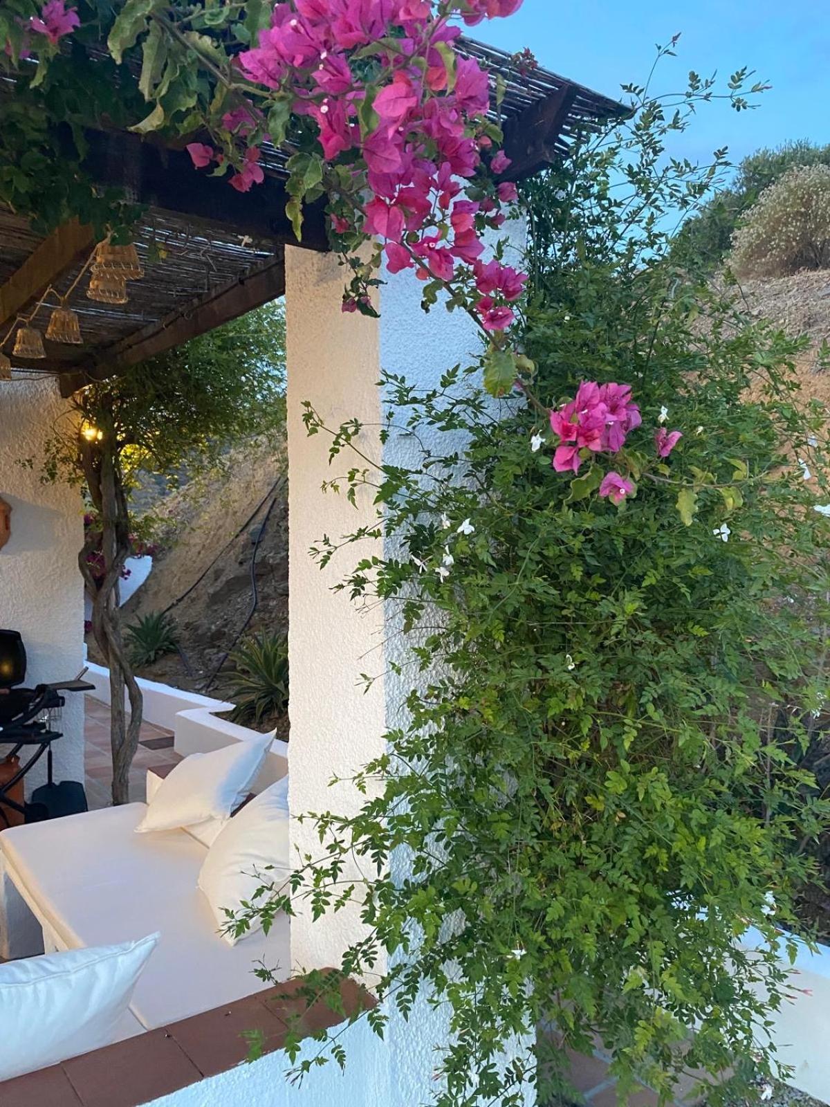 Finca Angelita ตอร์ร็อกซ์ ภายนอก รูปภาพ