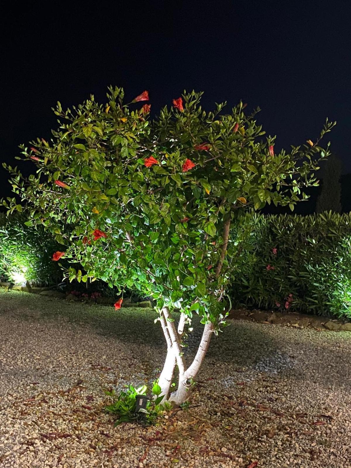 Finca Angelita ตอร์ร็อกซ์ ภายนอก รูปภาพ