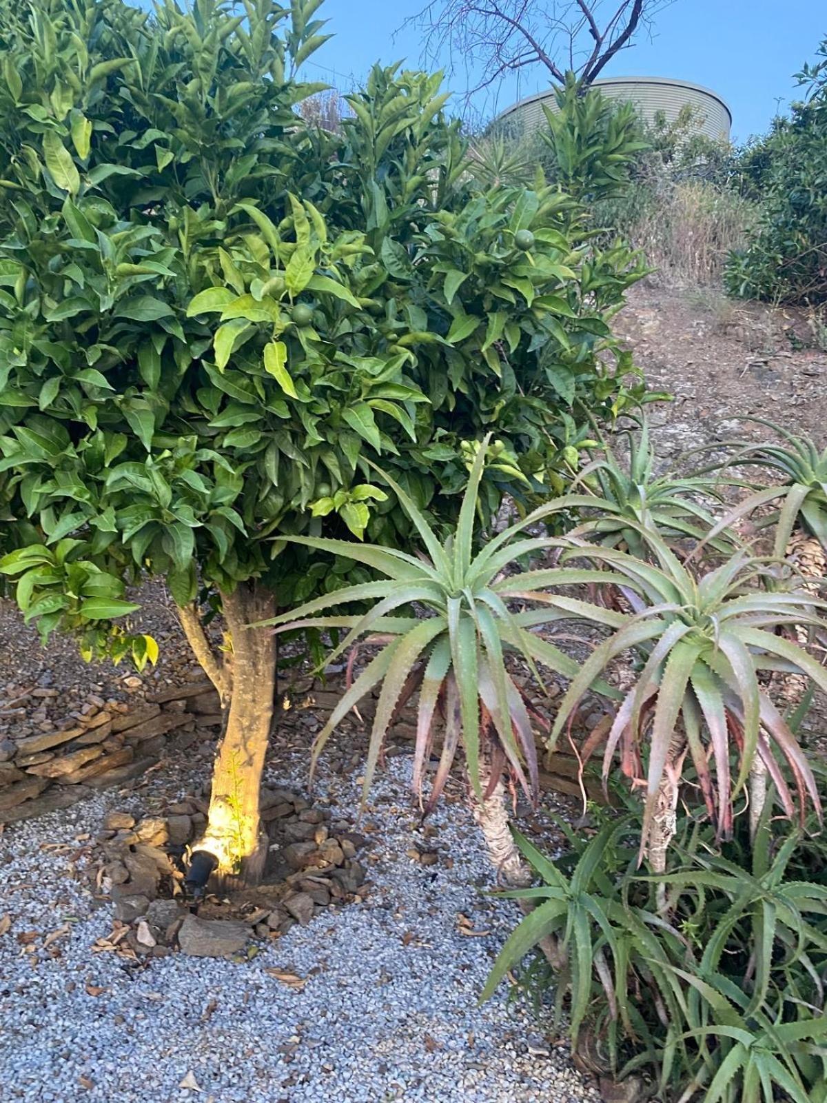Finca Angelita ตอร์ร็อกซ์ ภายนอก รูปภาพ