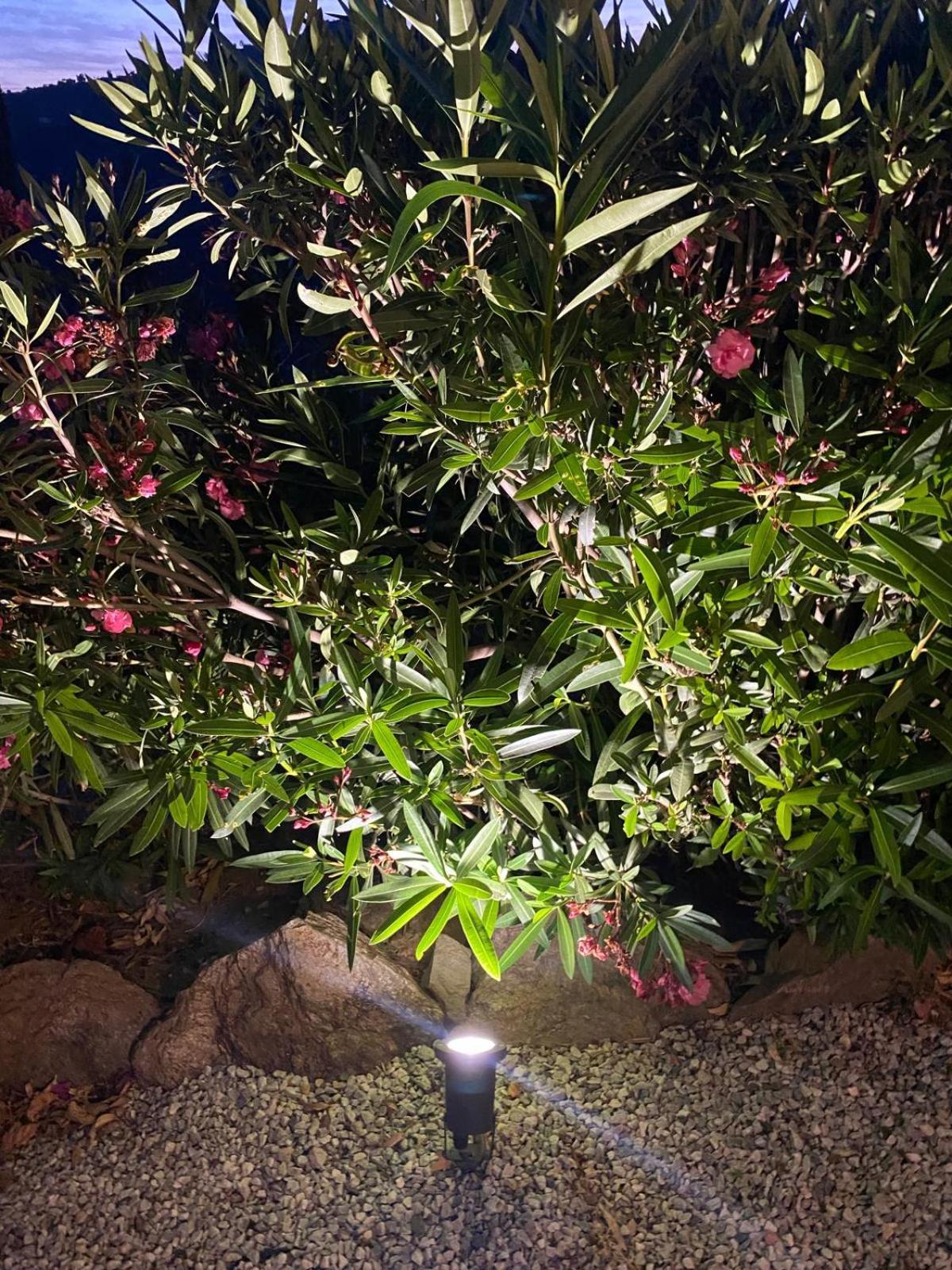 Finca Angelita ตอร์ร็อกซ์ ภายนอก รูปภาพ
